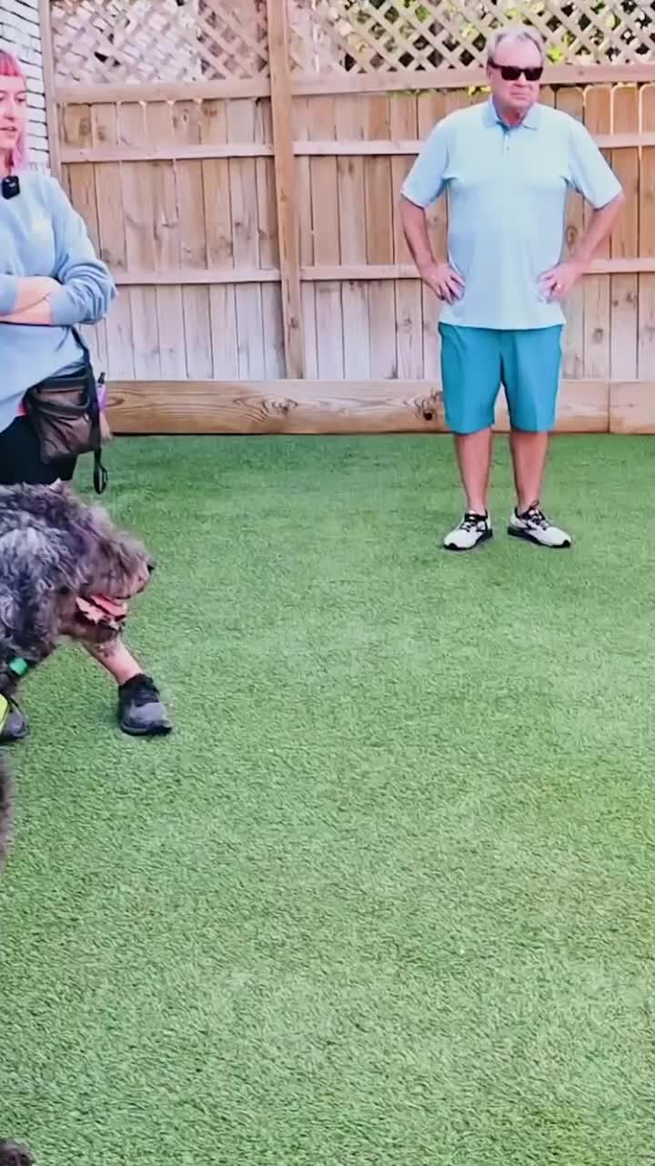 @Miracle K9 Training