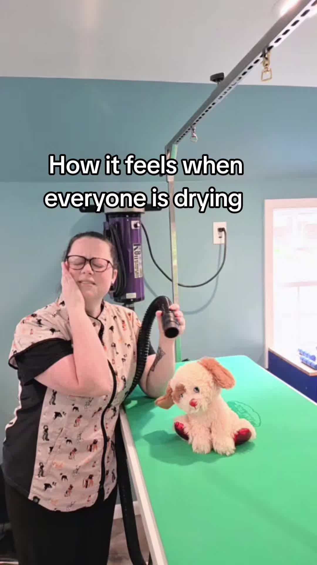 @ShookyDogGroomer-Rachel Shook