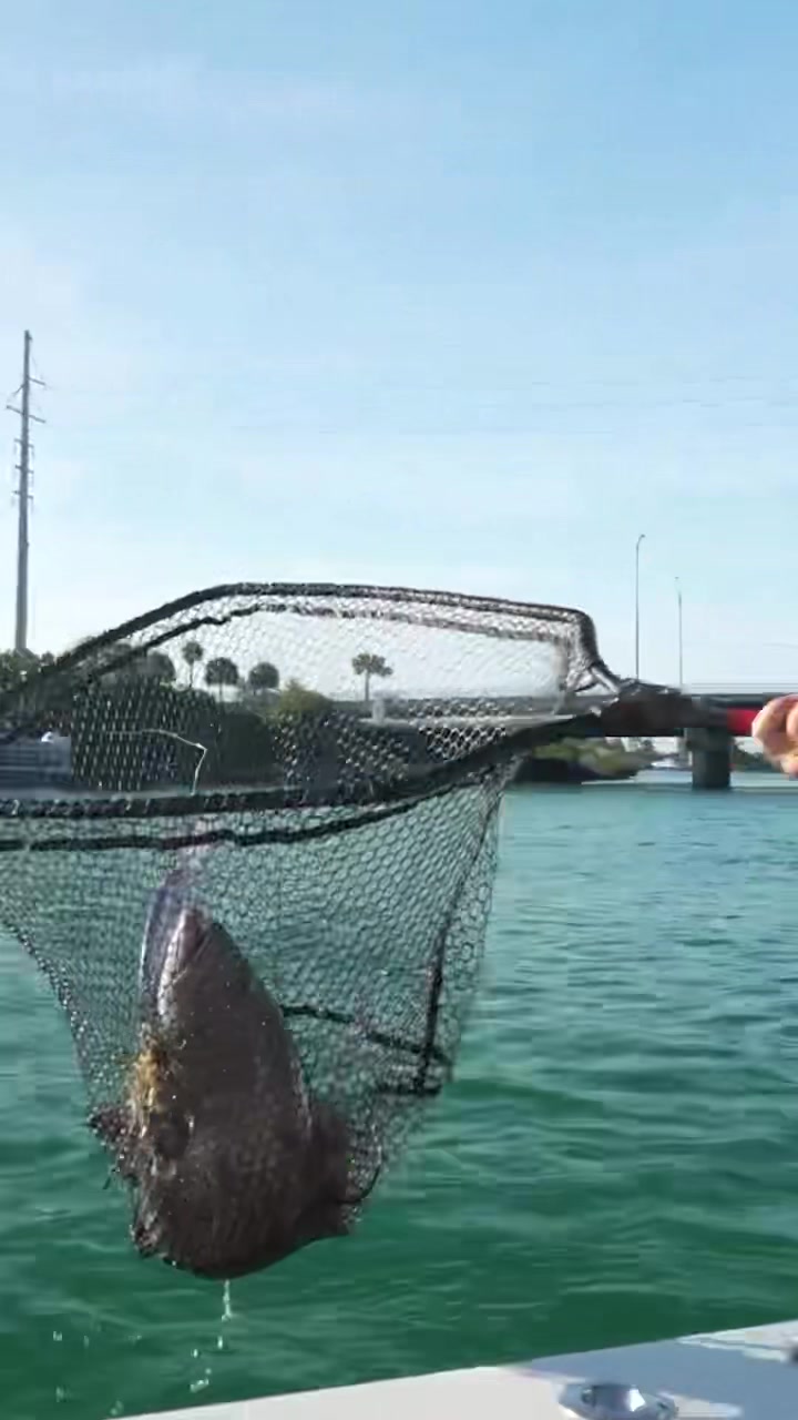 @TwoConchs