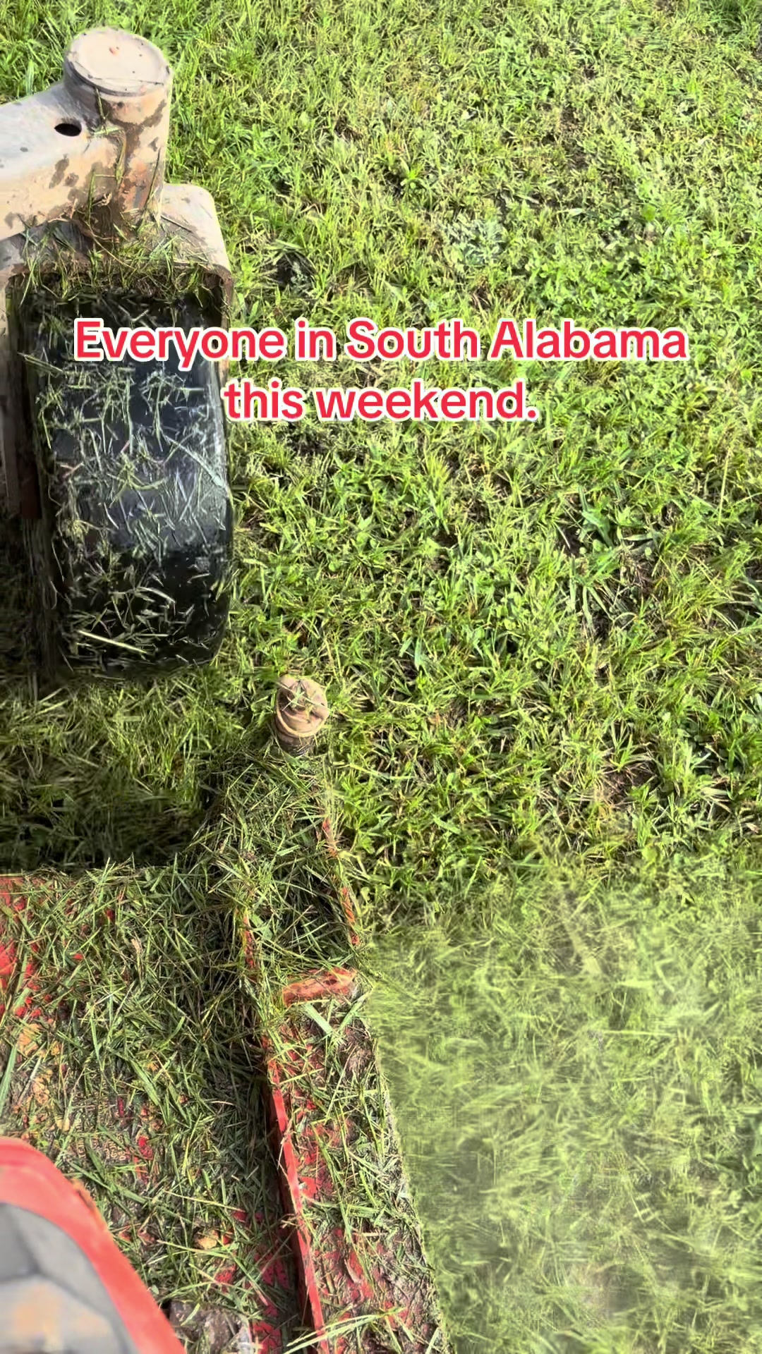 @Murder_Creek_Cattle_Co