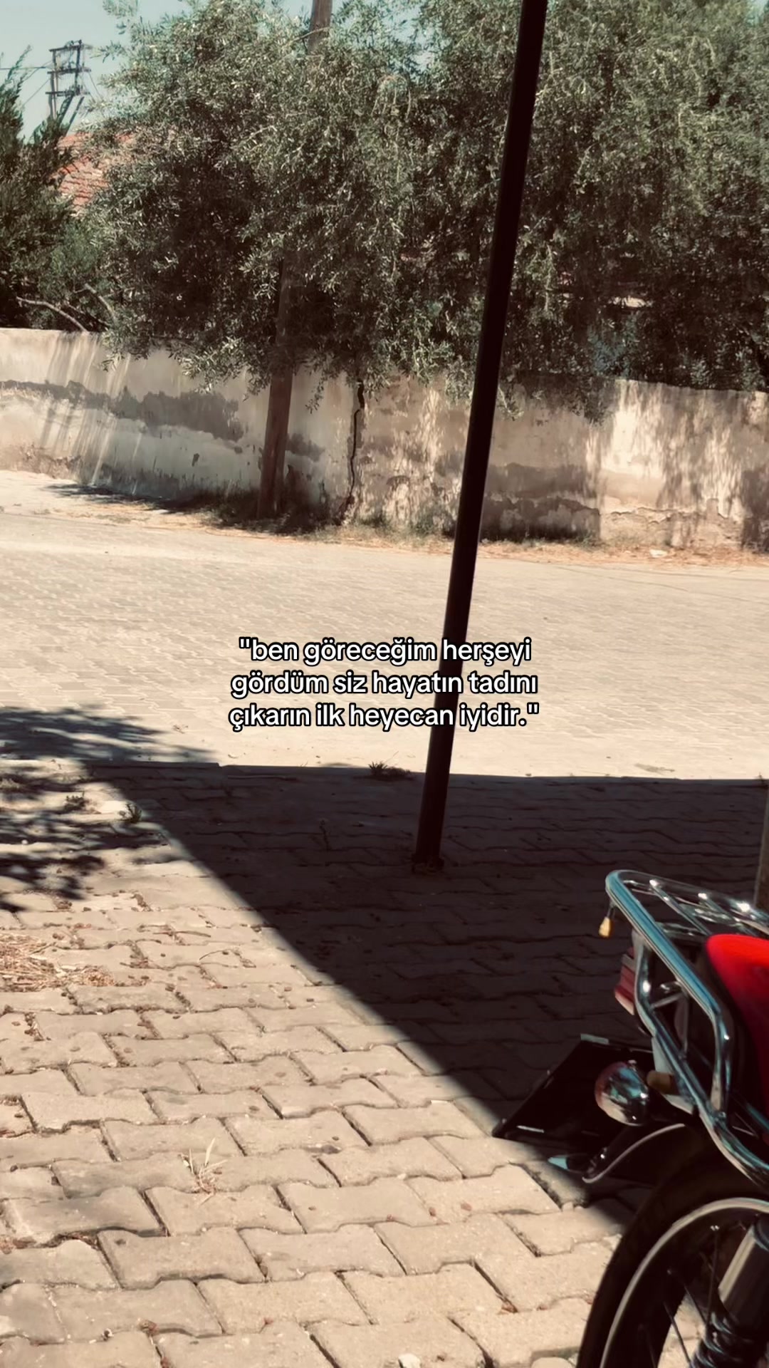 @ᴍᴇʜᴍᴇᴛ ᴀʟɪ ᴋᴏç 