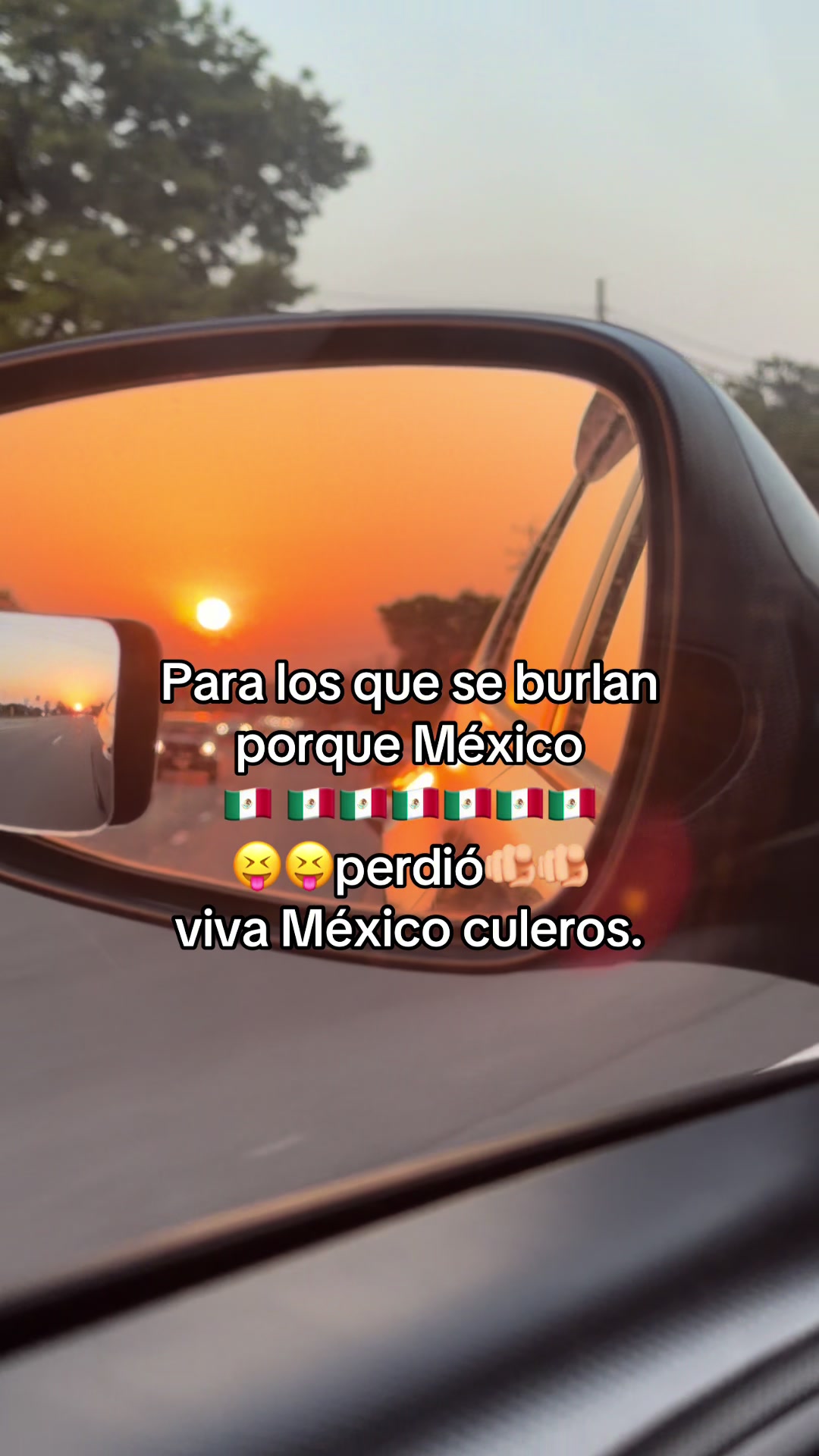 @mujereschingonas8
