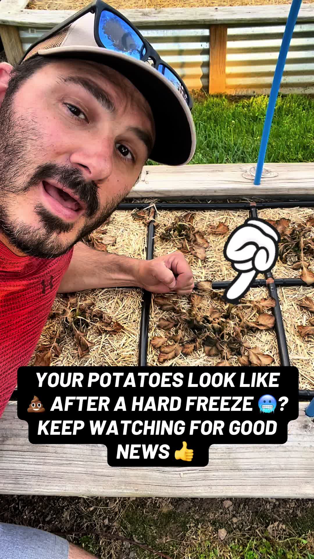 @TheFruitfulFoodscape
