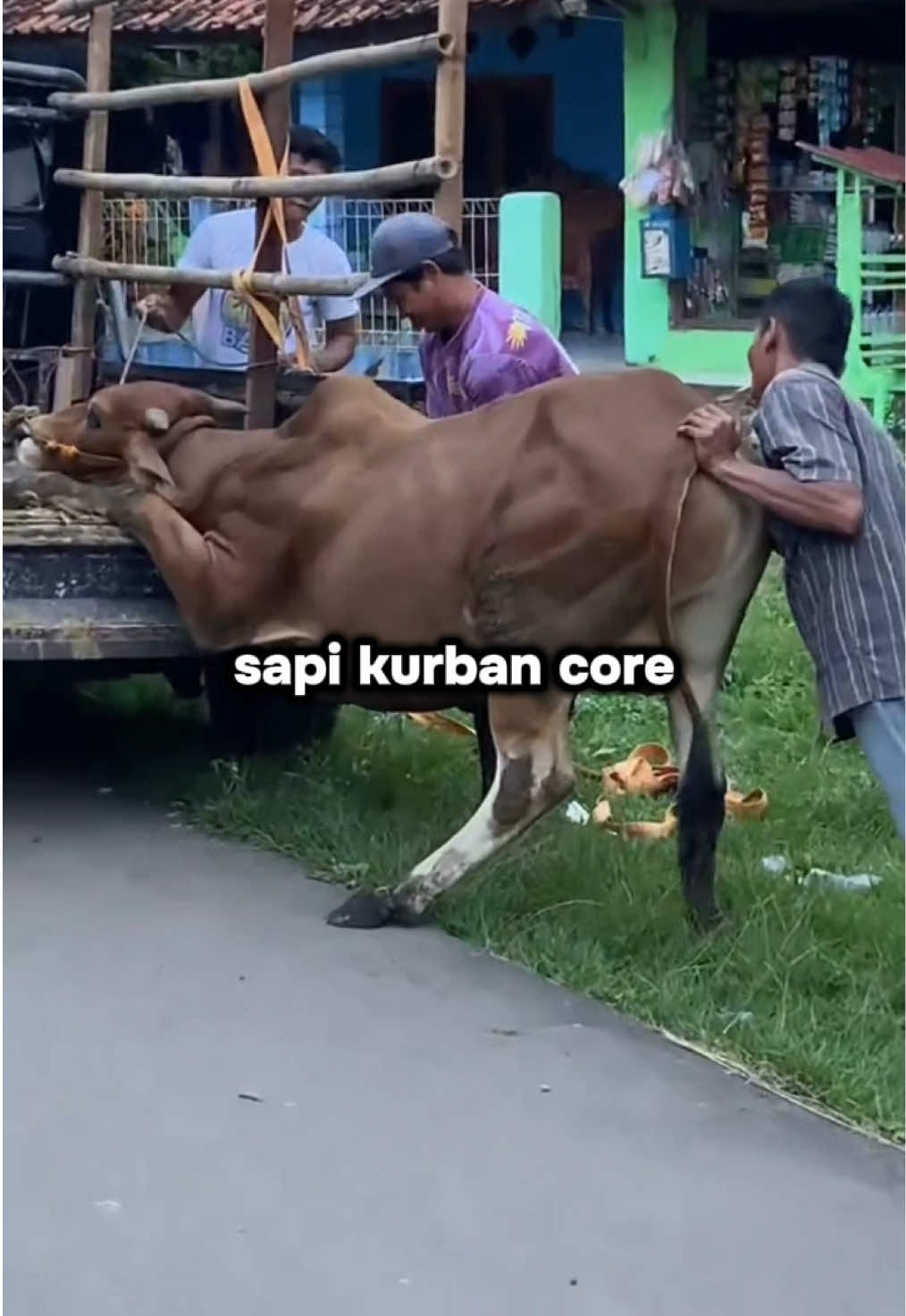 @cctvnetizen