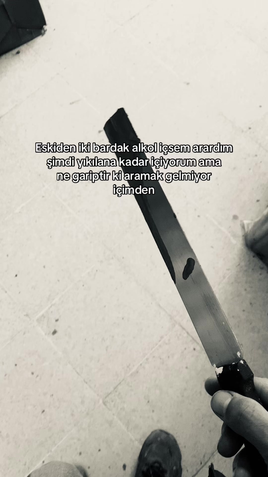 @🕊️