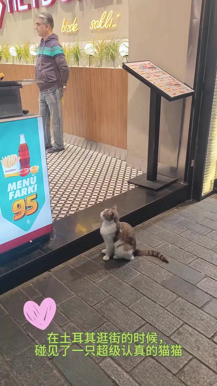 @林京一