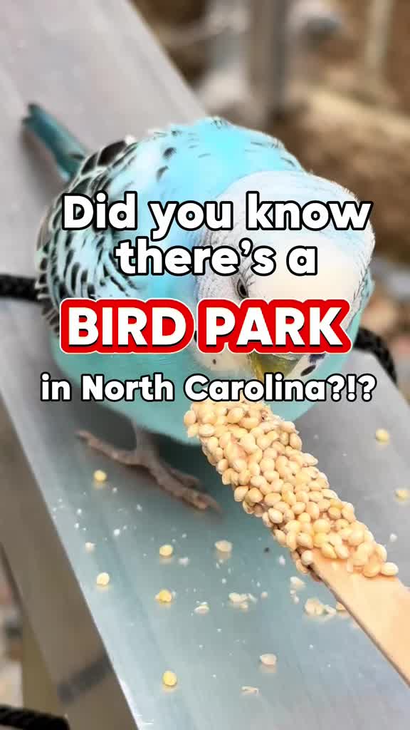 @Christina | NC Tripping
