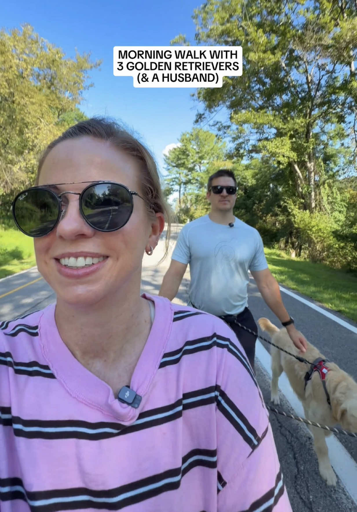 @agoldendogmom