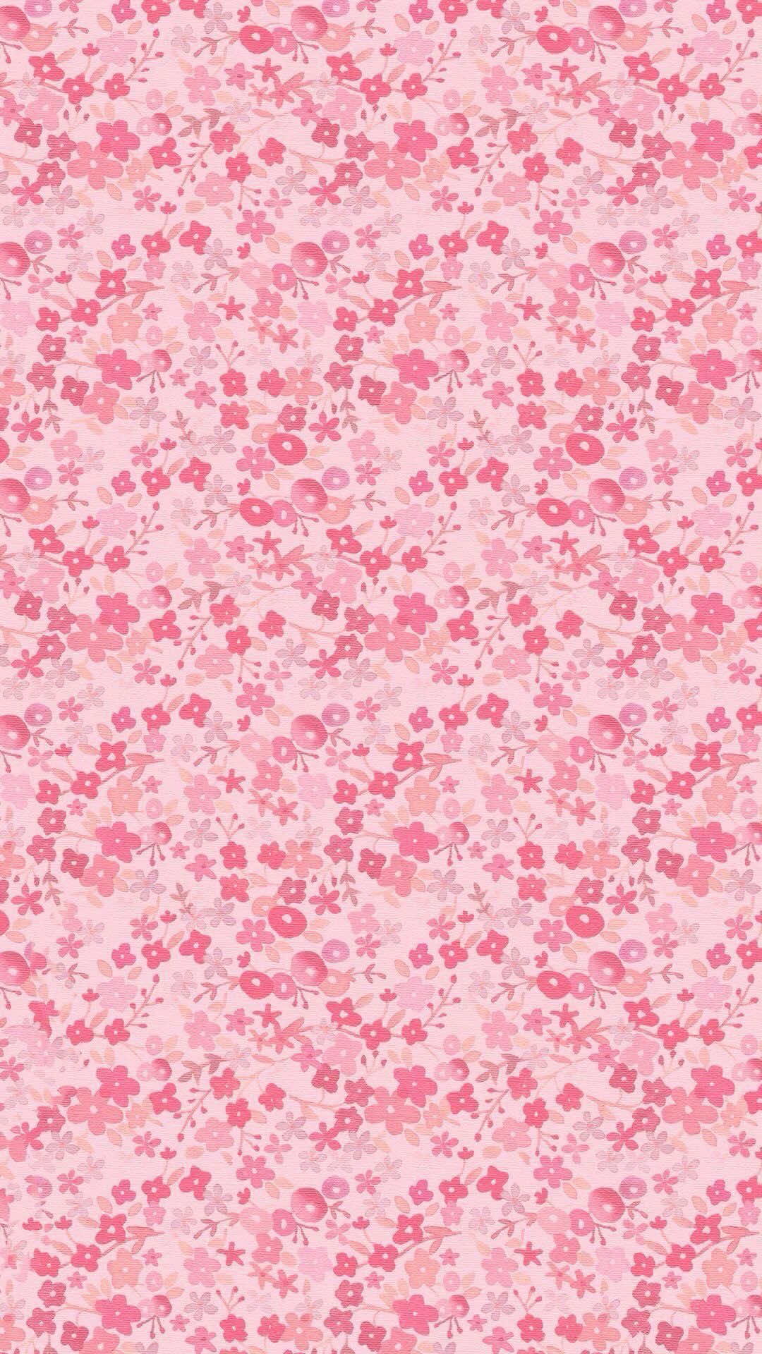 @ℳ𝒾𝓶𝓲ꫂ᭪݁