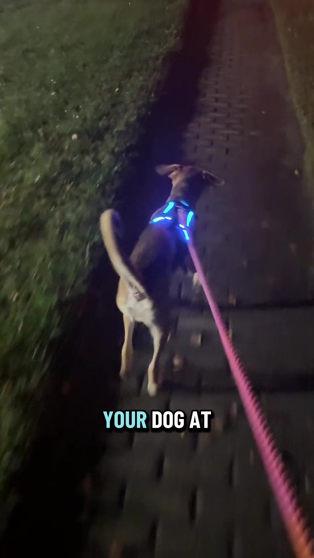 @Jay