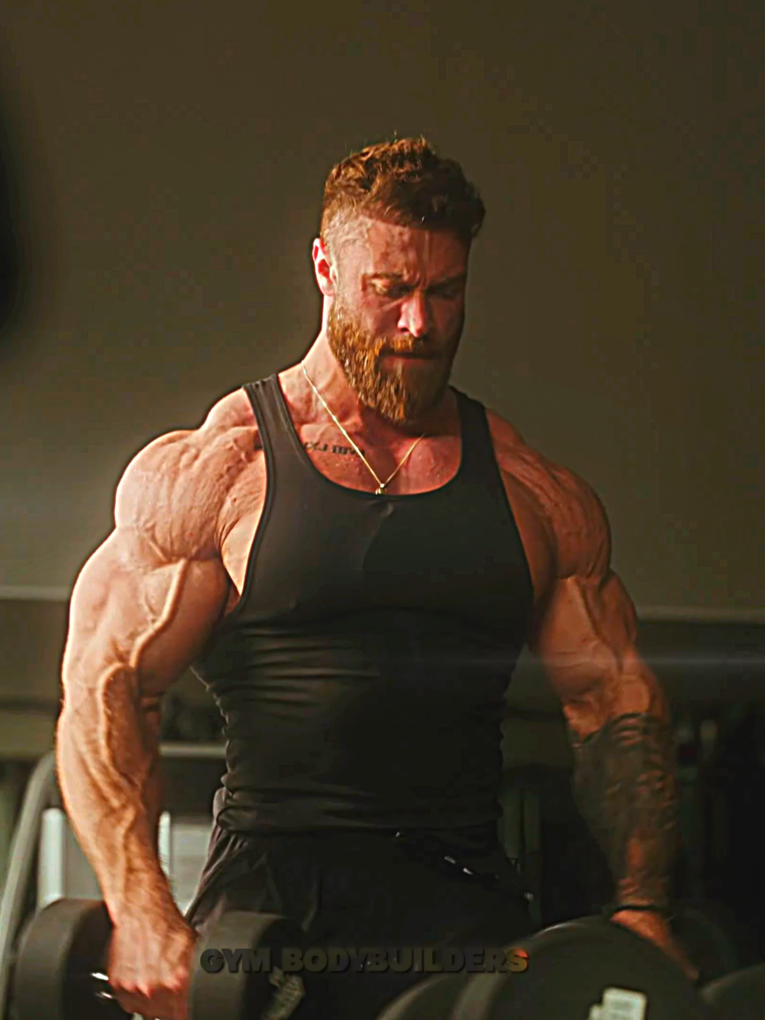 @Gym Bodybuilders