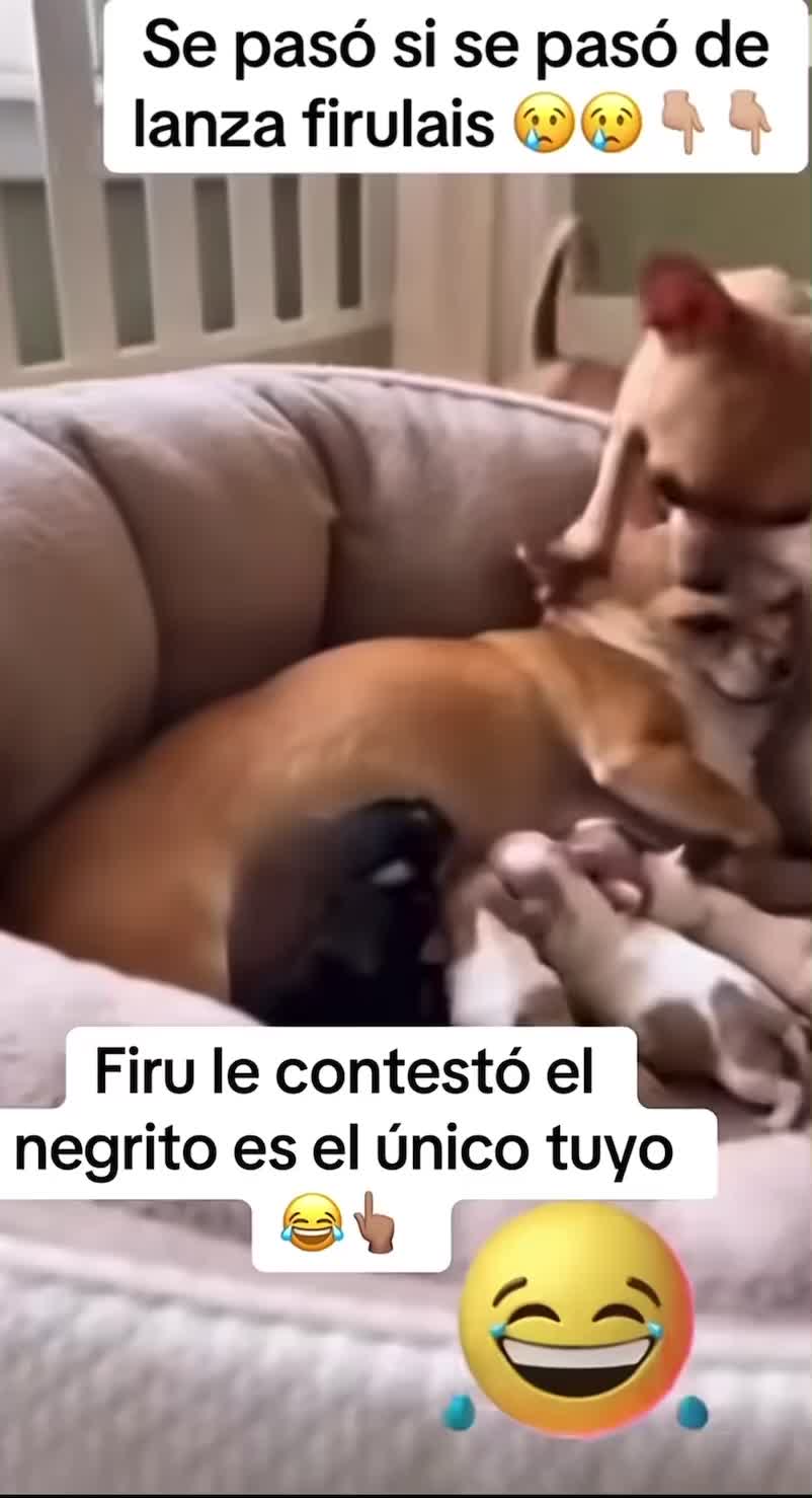 @tellebarajas