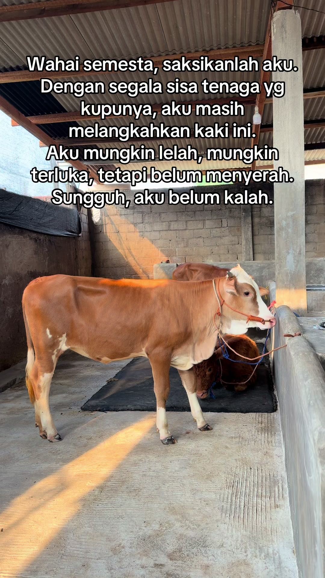 @cc. 77