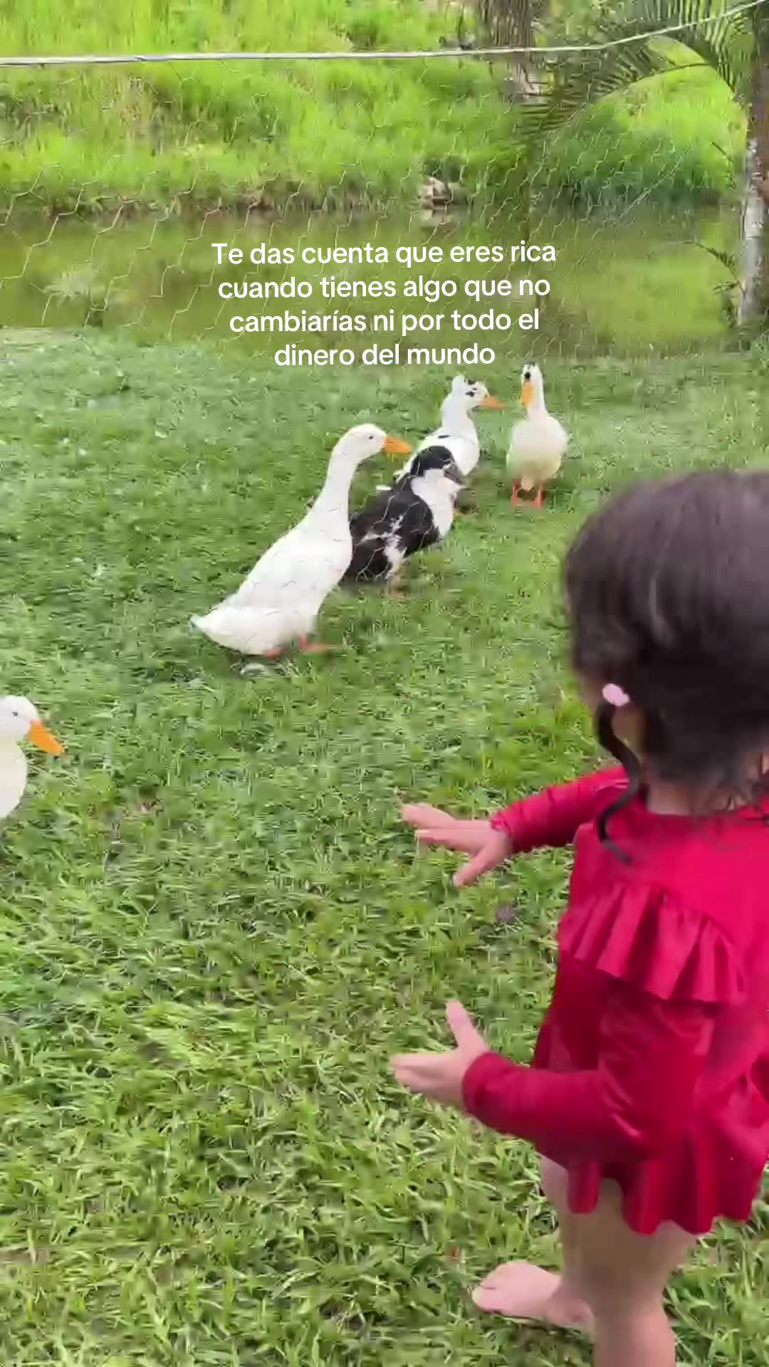 @Endrismar Briceño