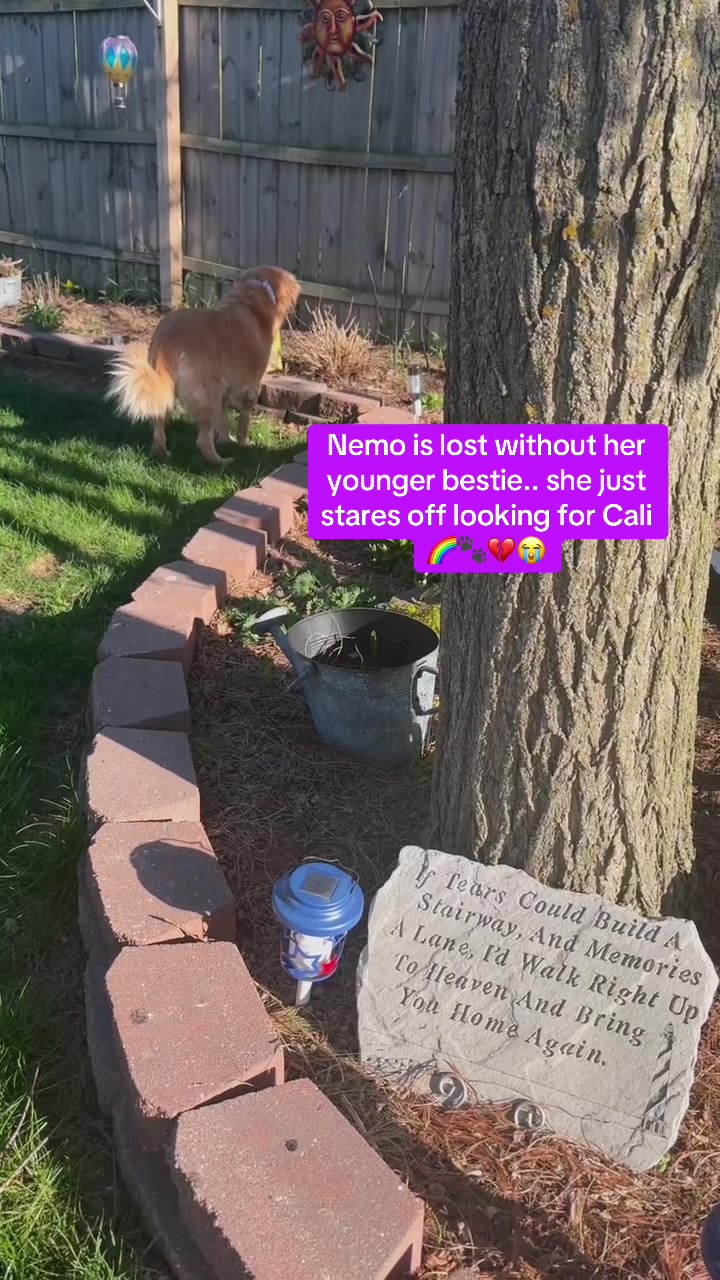 @Nemo, Cali & Fletcher