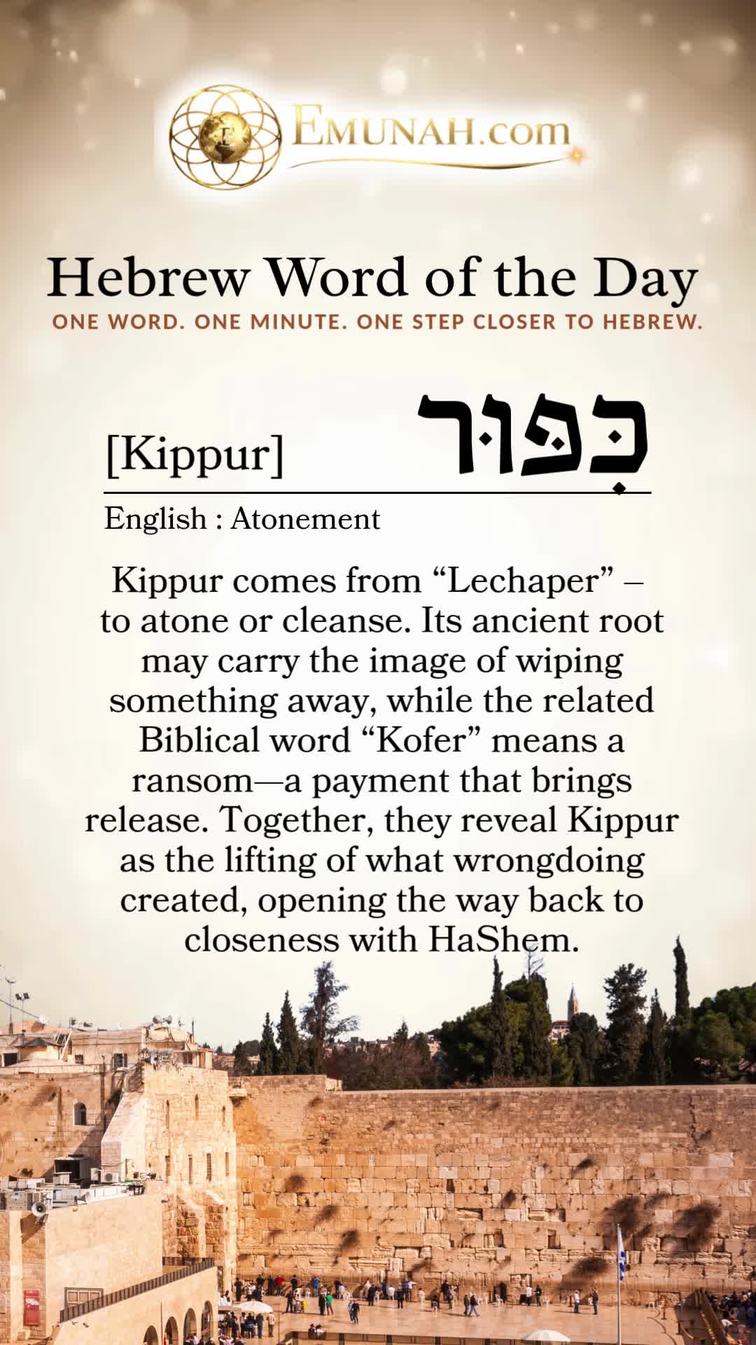 @Rav Dror