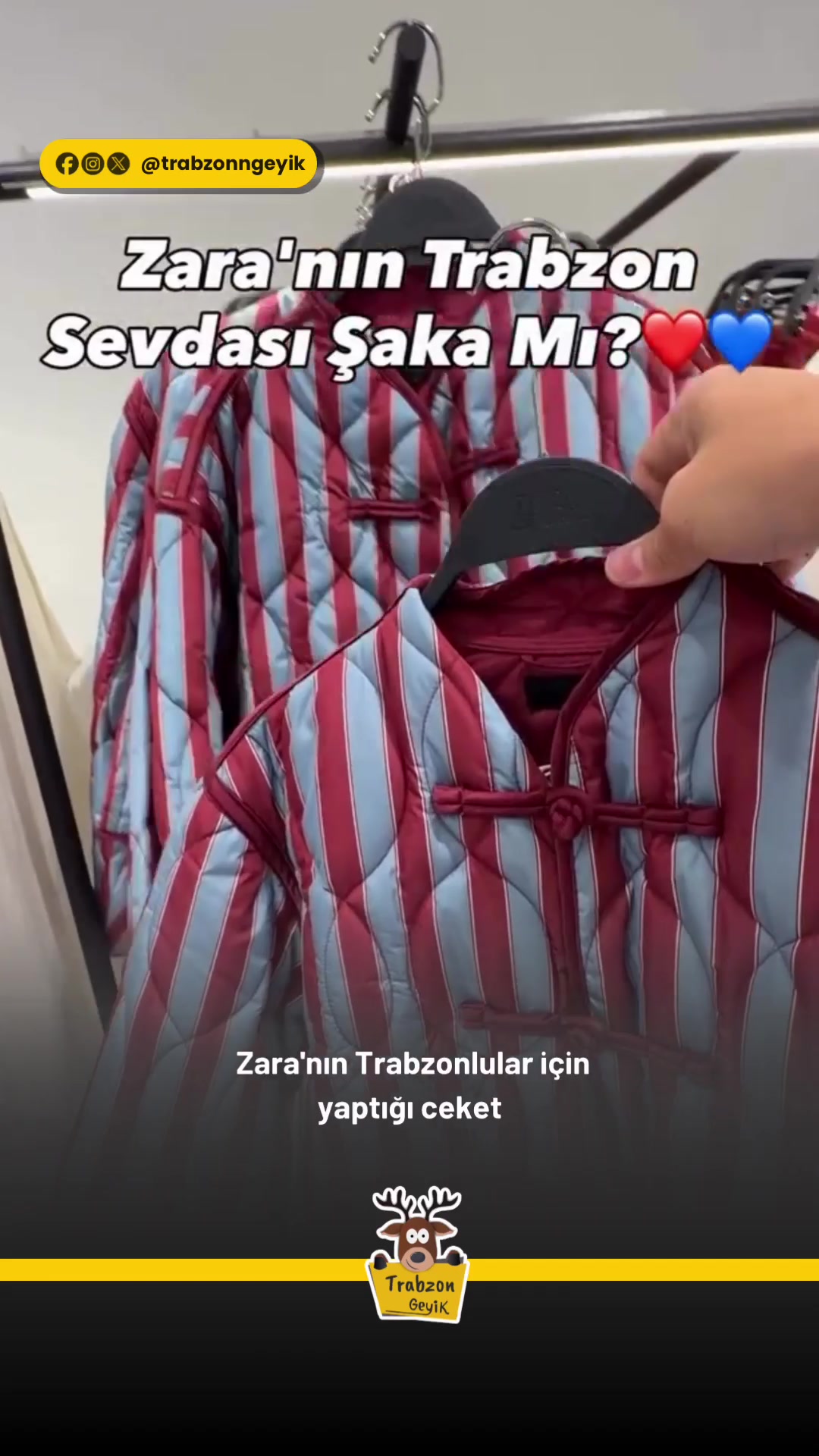 @Muğla Geyik
