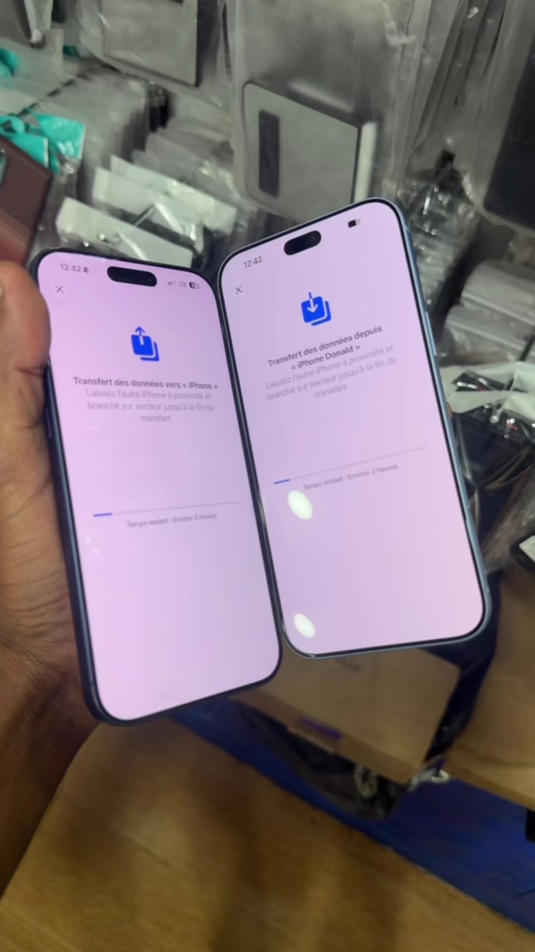 @Tbapple_haiti