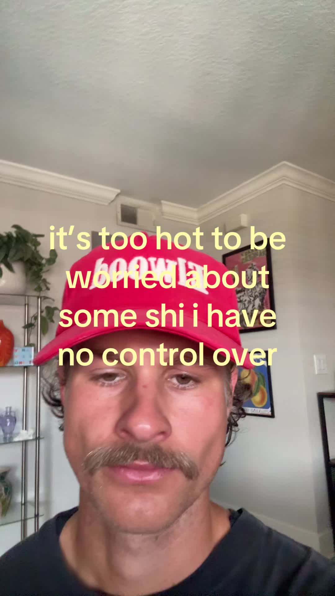 @shane