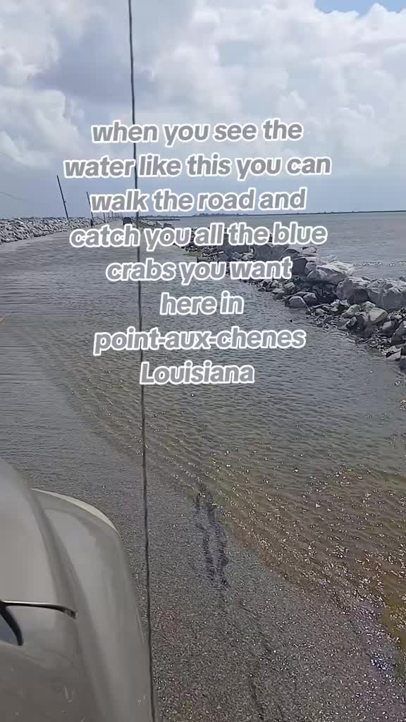 @SALTWATER SAB OUTDOORS