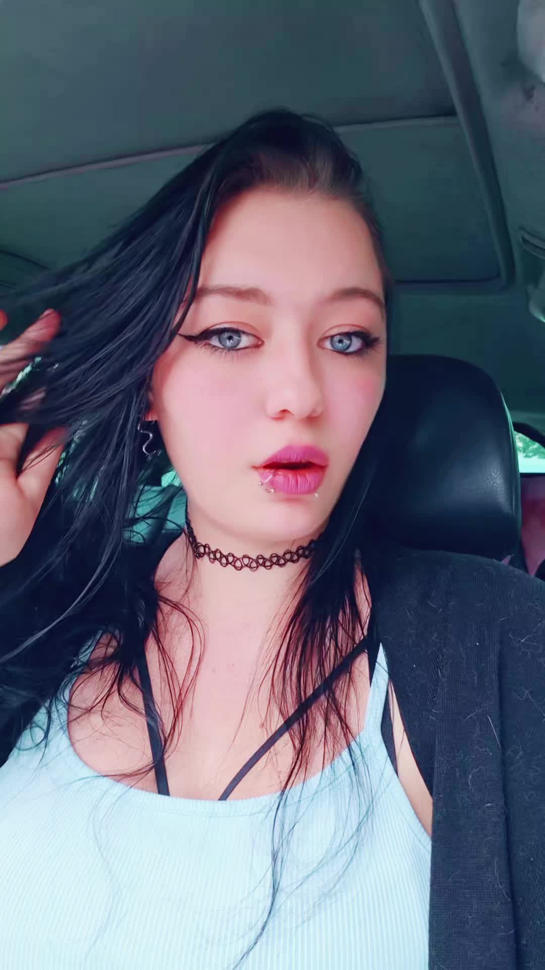@bvb_spam