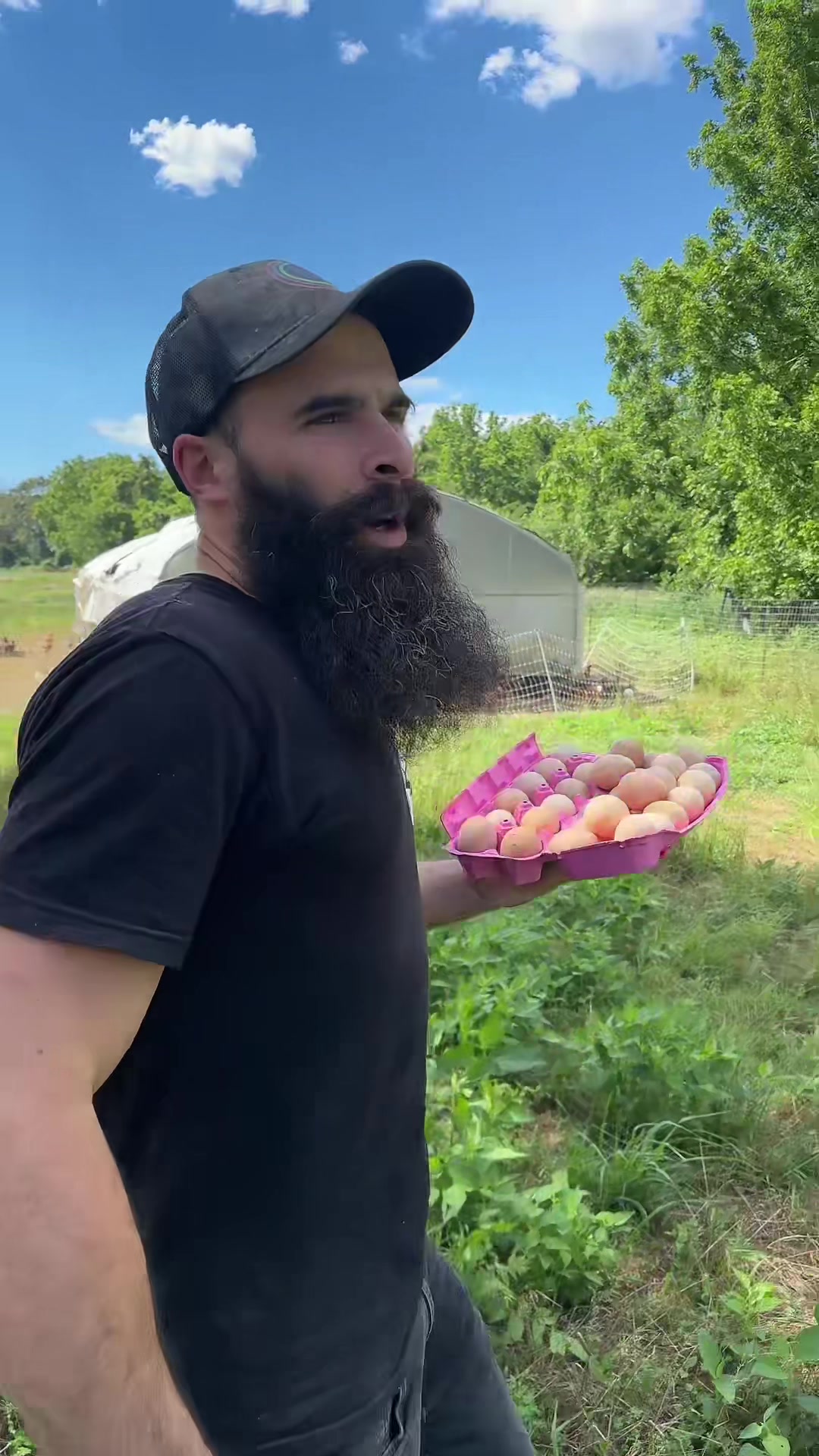 @farmerandtheharpiist