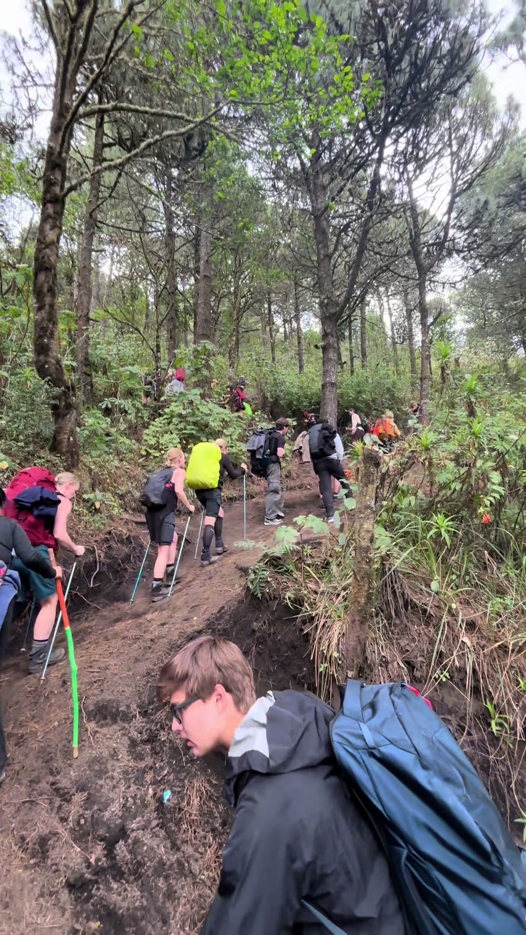 @oh who is you