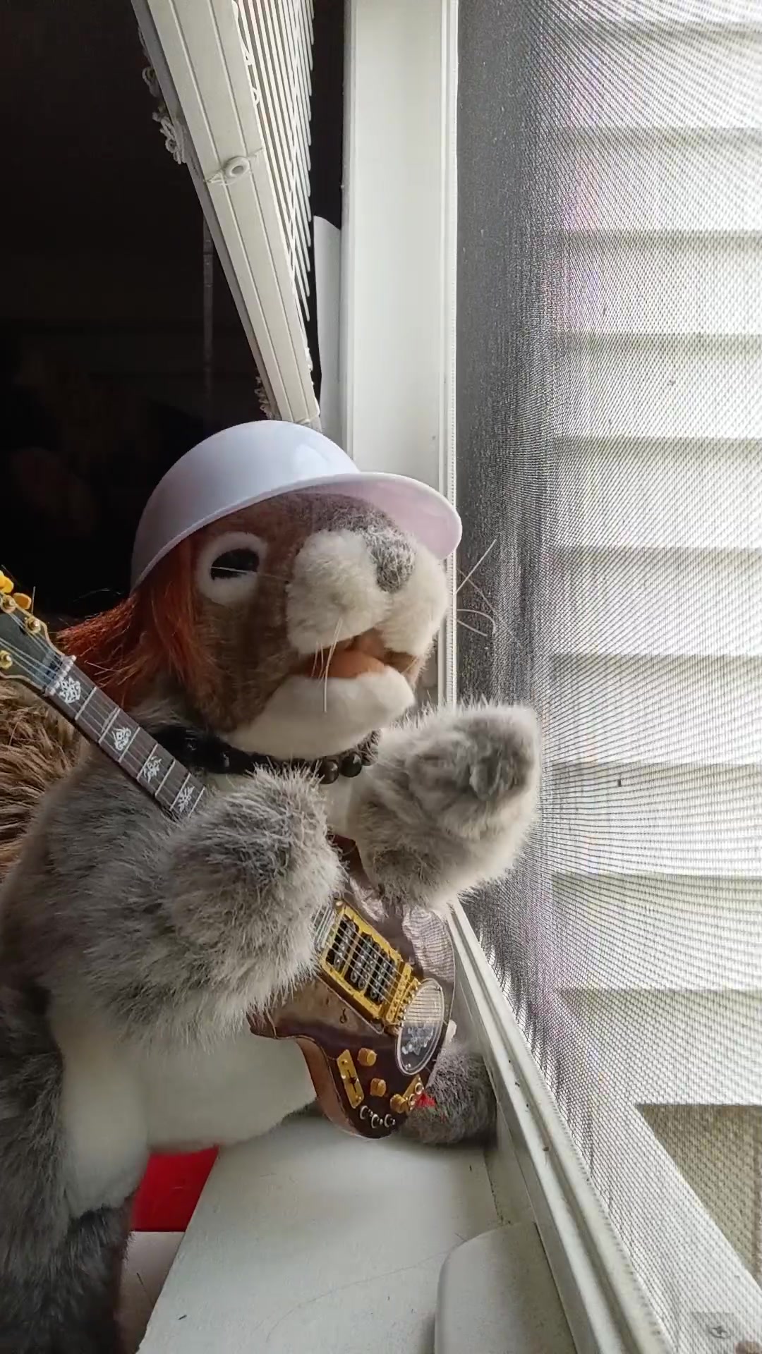 @Charles The Squirrel