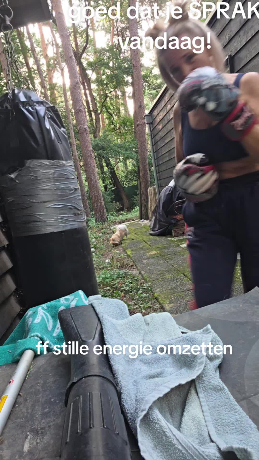 @Anneshartje
