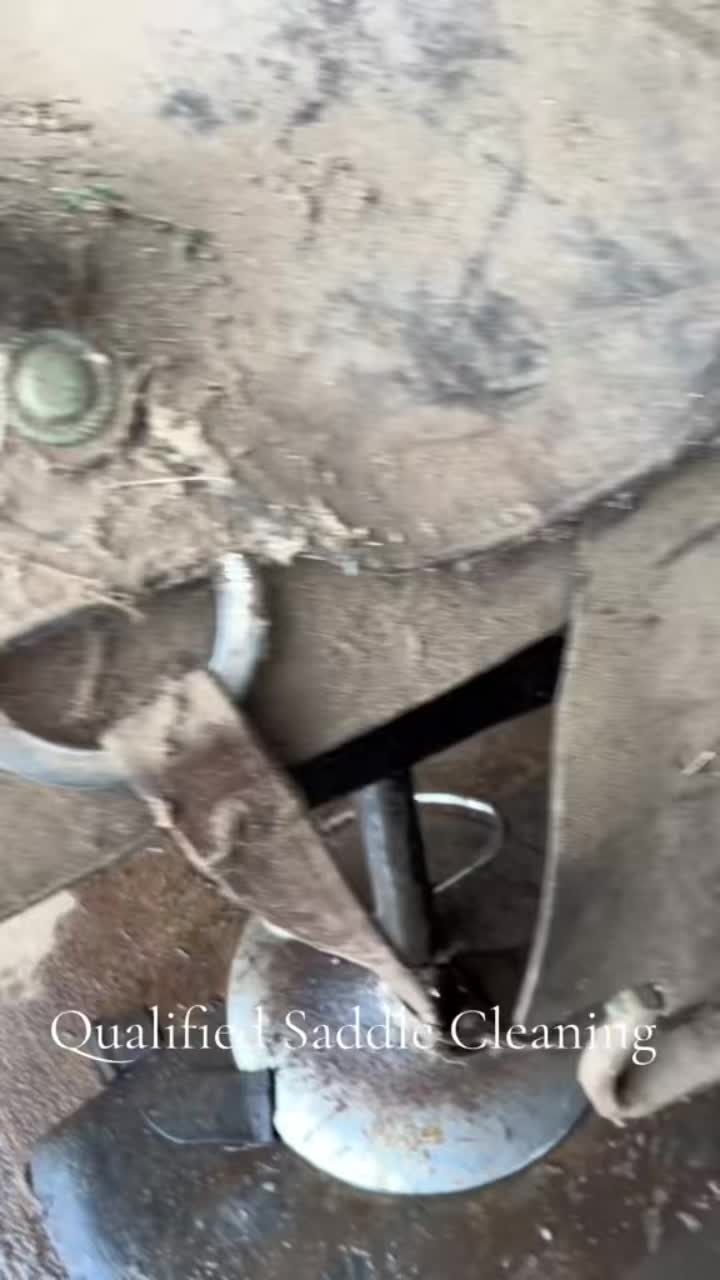 @Qualified Saddle Cleaning