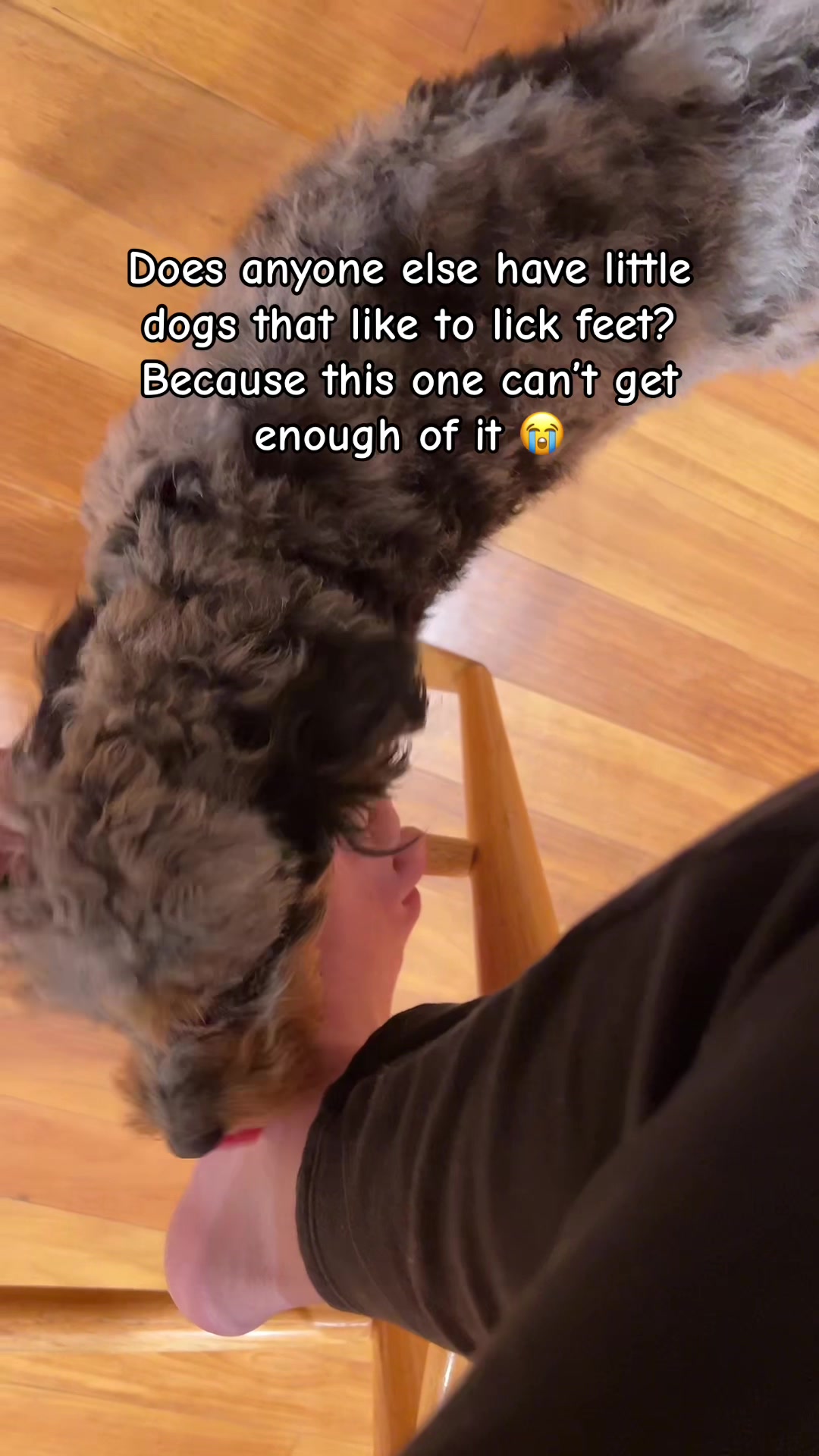 @Kayla