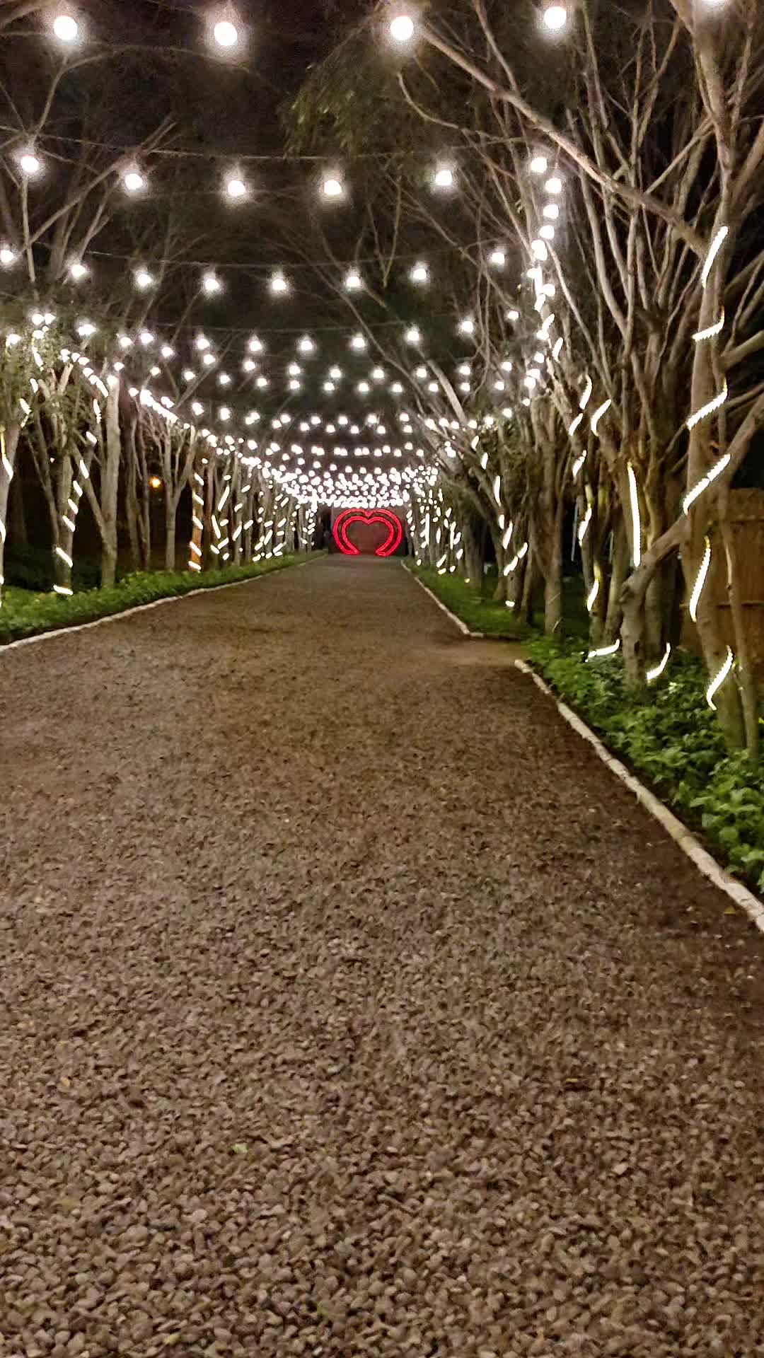 @Wali.contenido Tiktok Natur