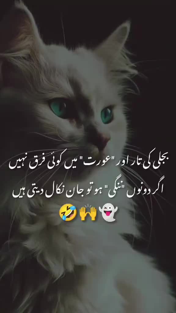 @❤️beautiful❤️