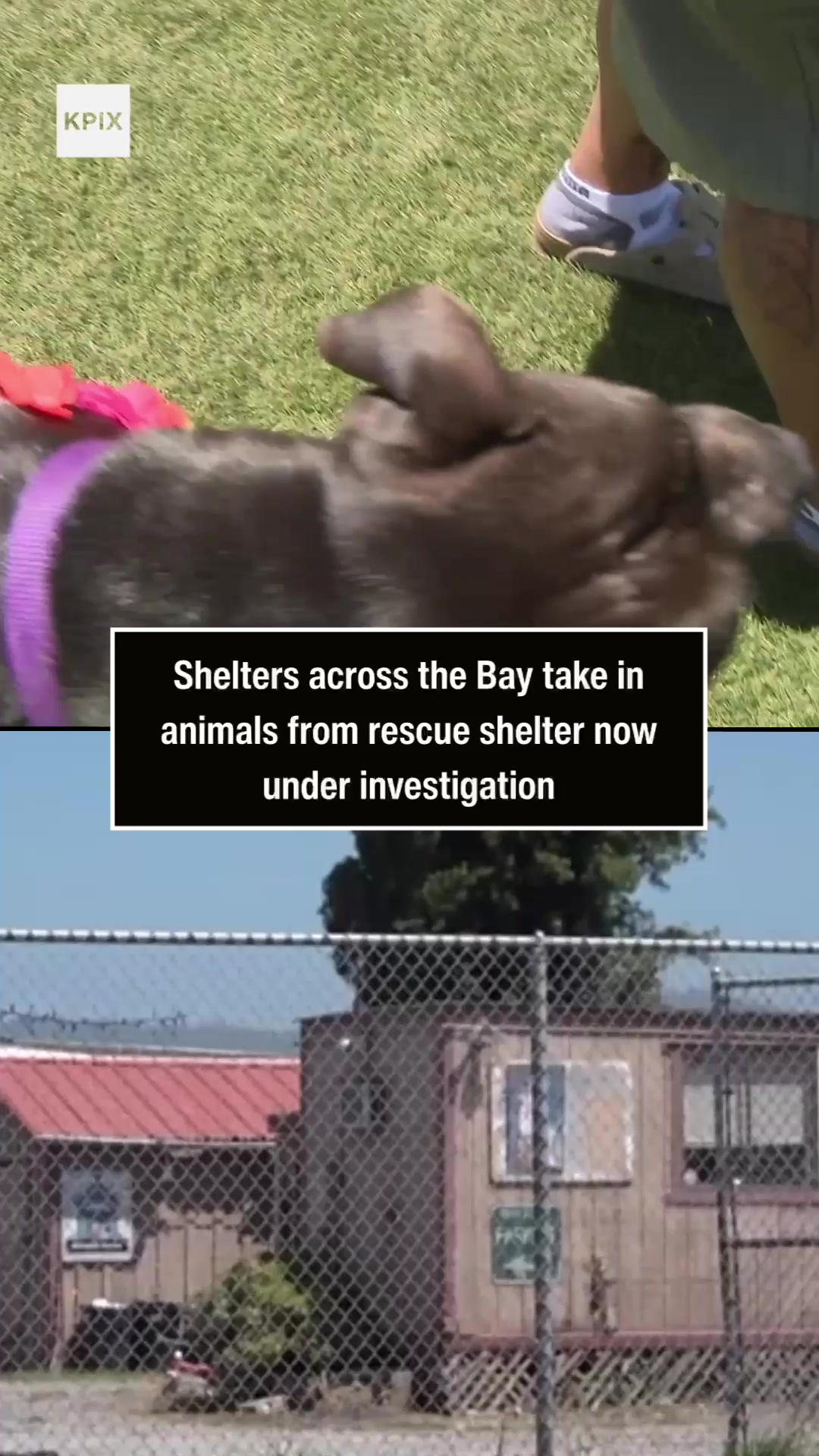 @KPIXTV
