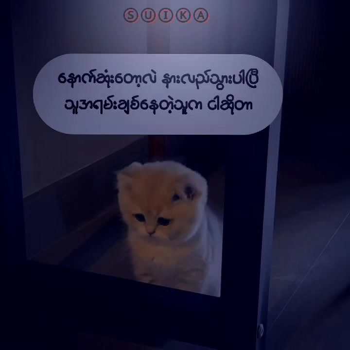 @Ⓢⓤⓘⓚⓐ