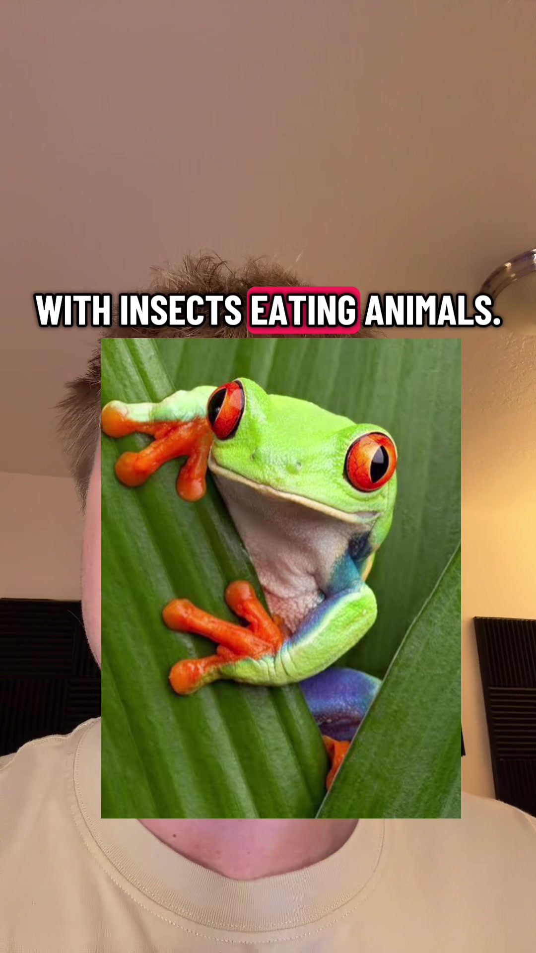 @DapDerDapy