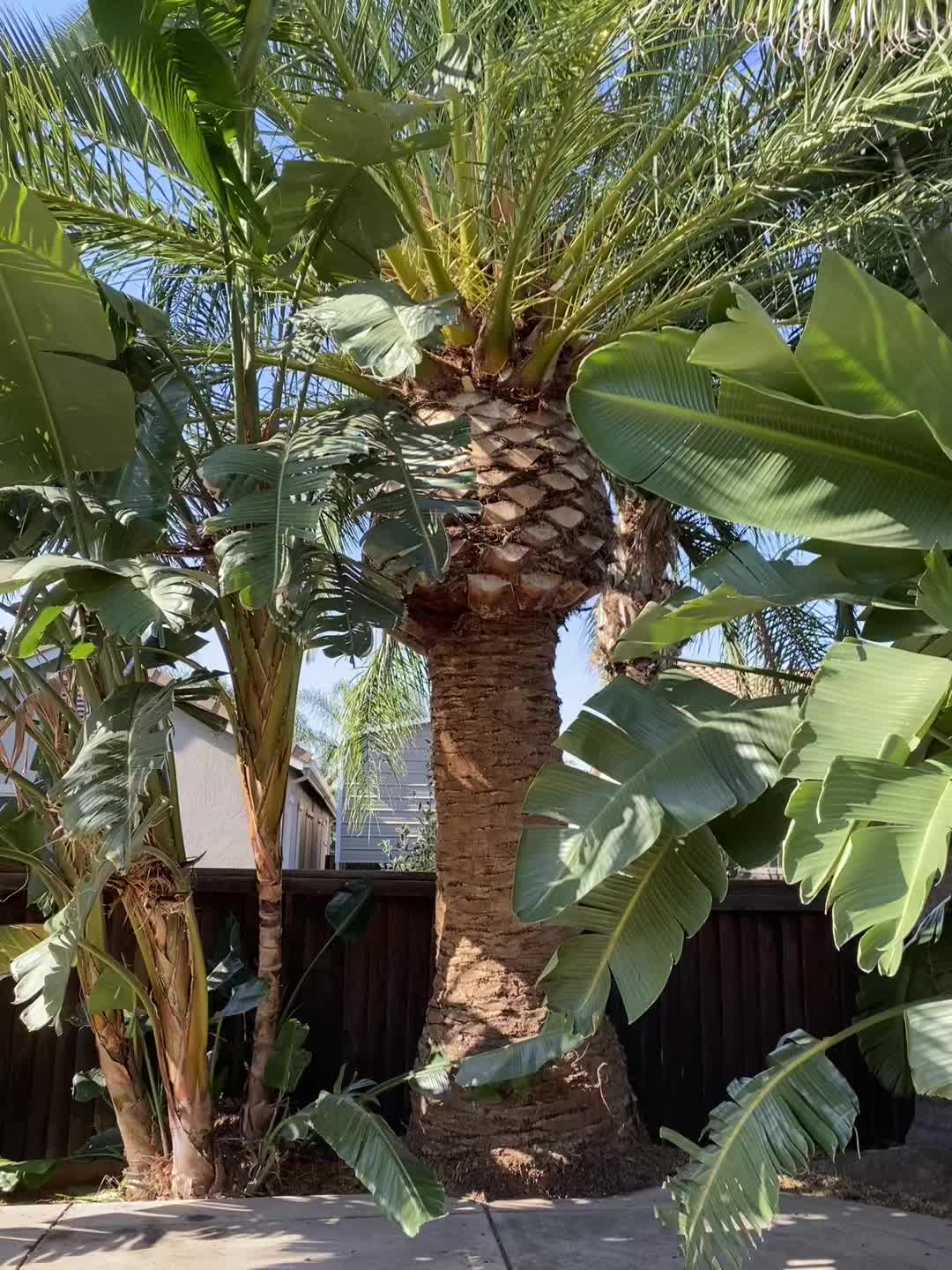 @Leonel Cortez