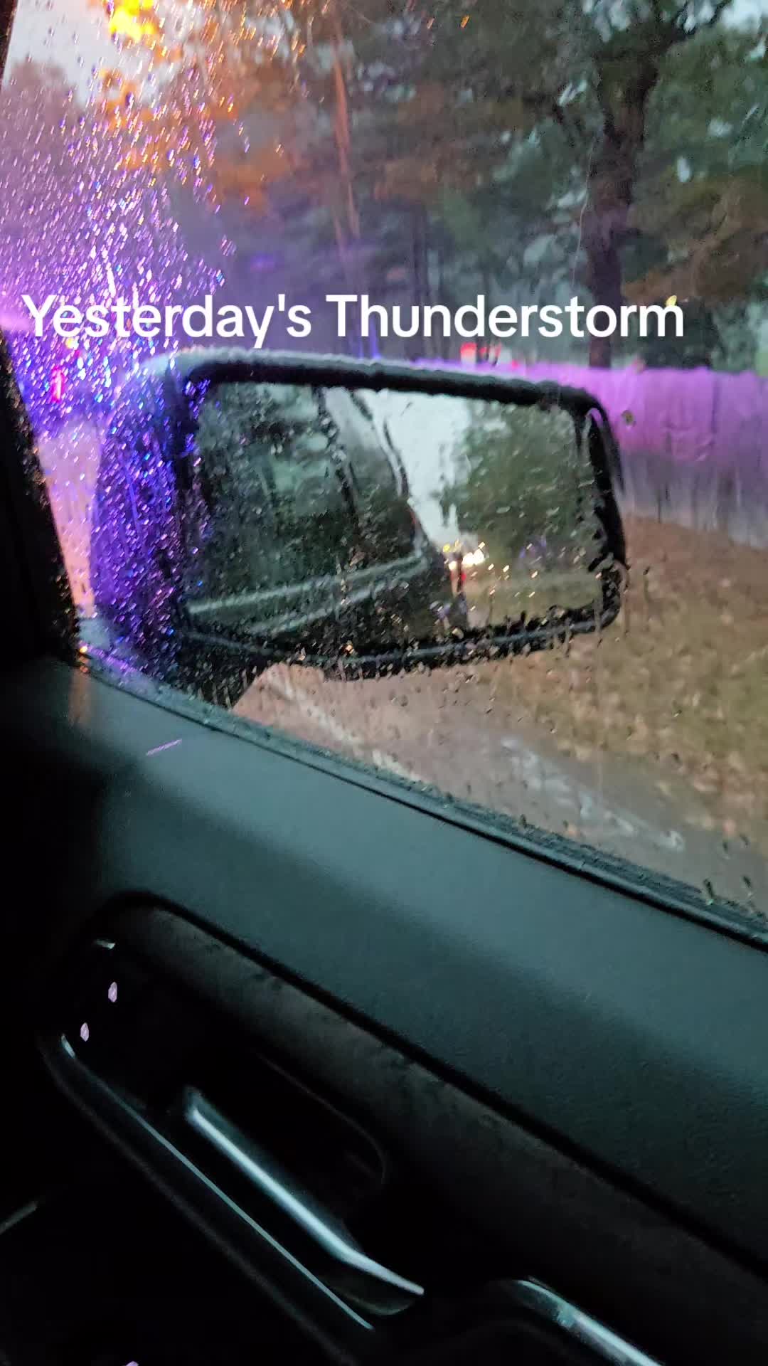 @Bamagurltm675