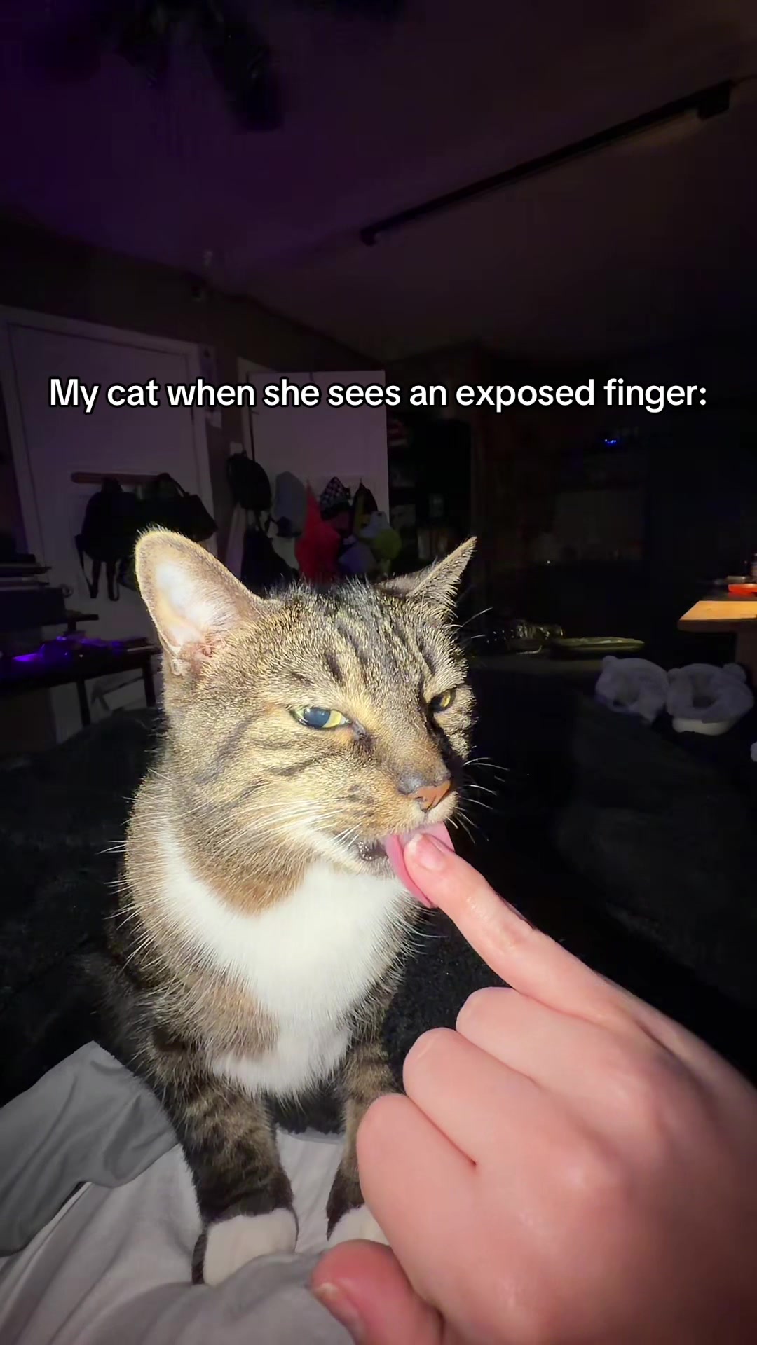 @Delaney Kat
