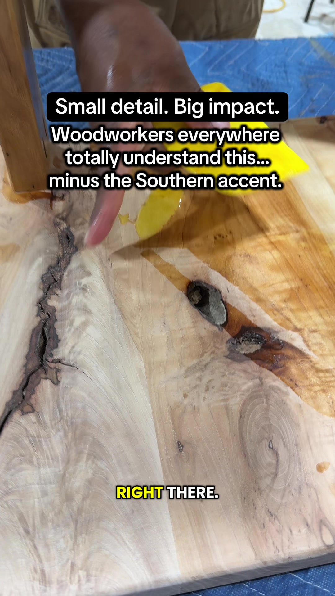 @Carpenter Ant