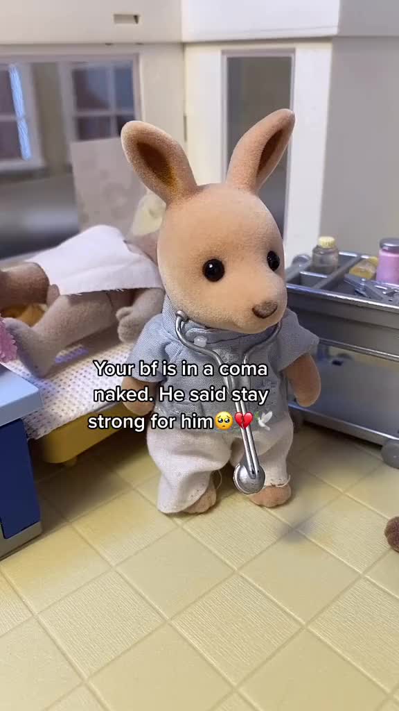 @sylvanian.nodrama
