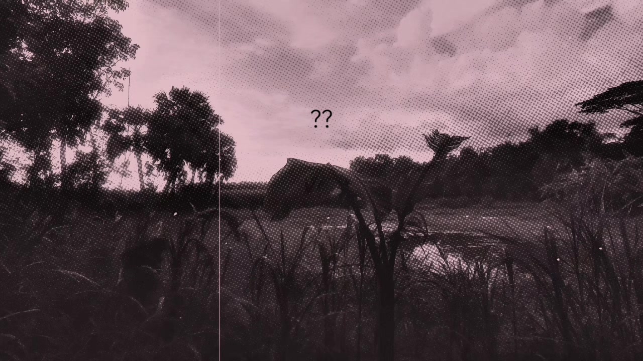 @👤পাপিষ্ঠ🫂