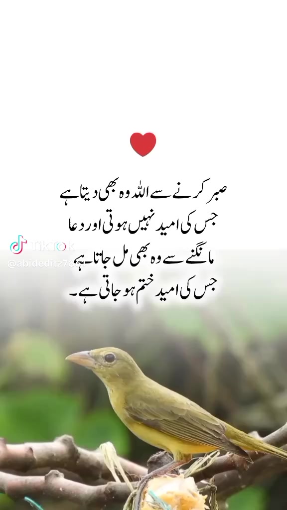@Maqbool Hussain