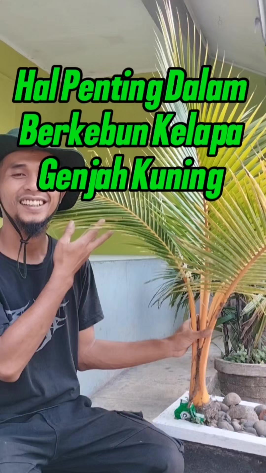 @Bukit Farming