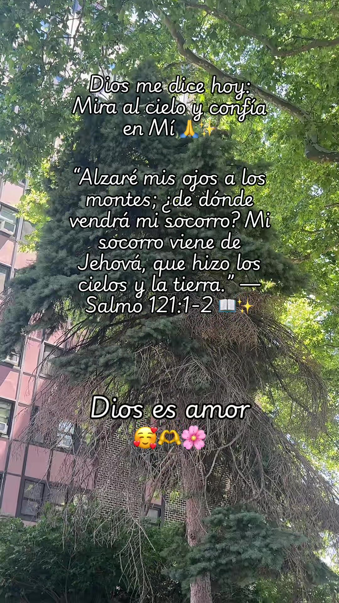 @Dios es amor ❤️ -UGC - CPCT💫✨