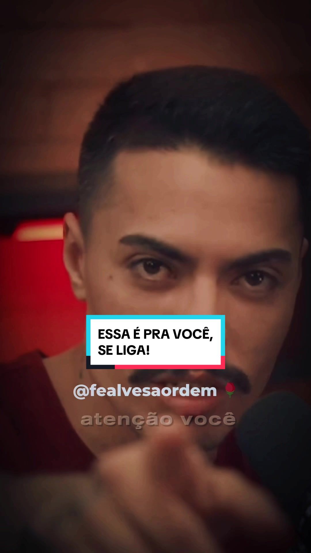 @Fê Alves | A Ordem 🌹