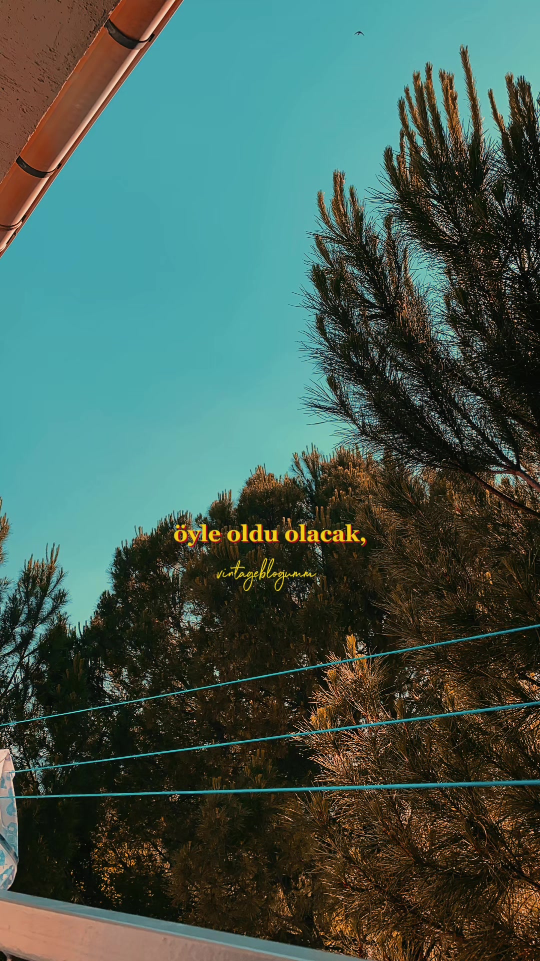 @HüseyinYeşim