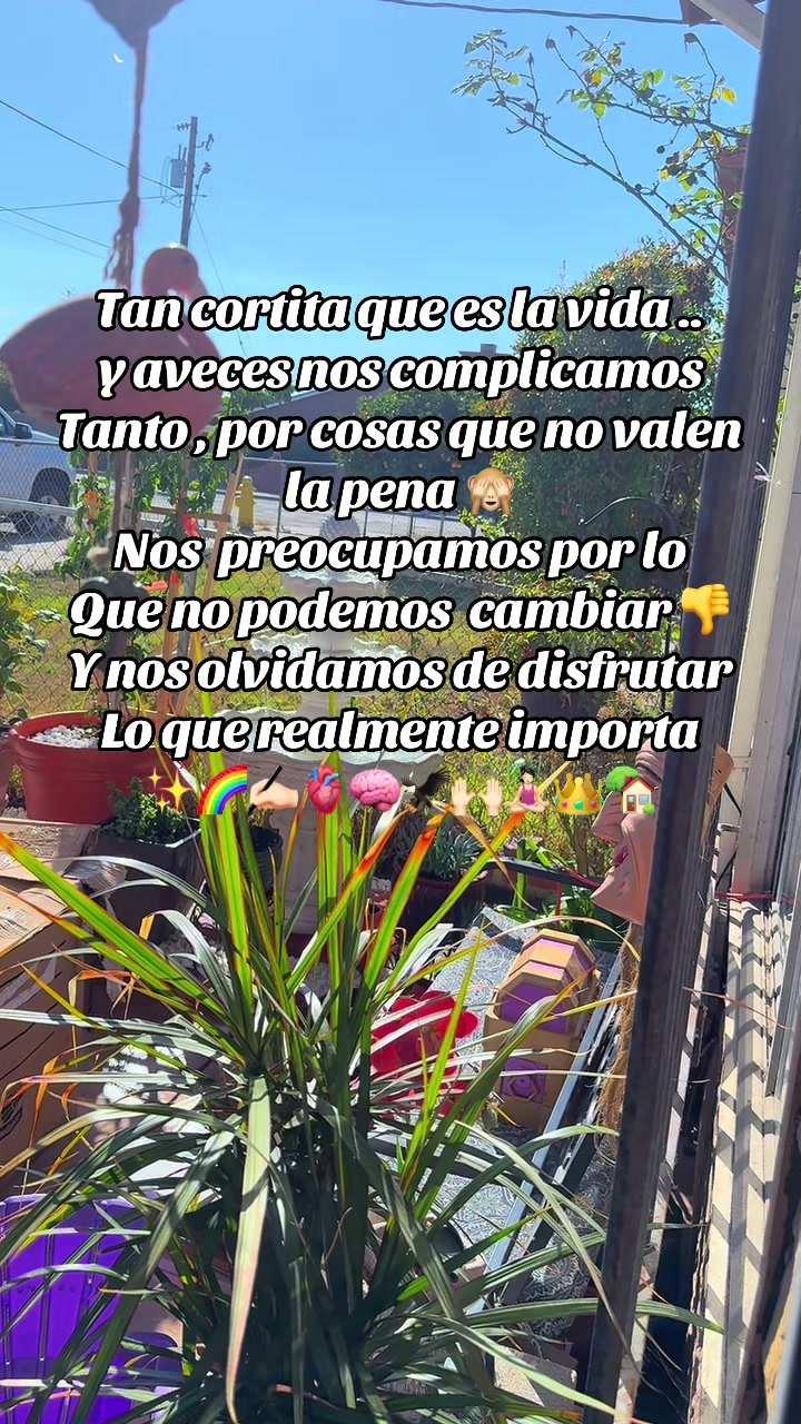 @ANGELICA