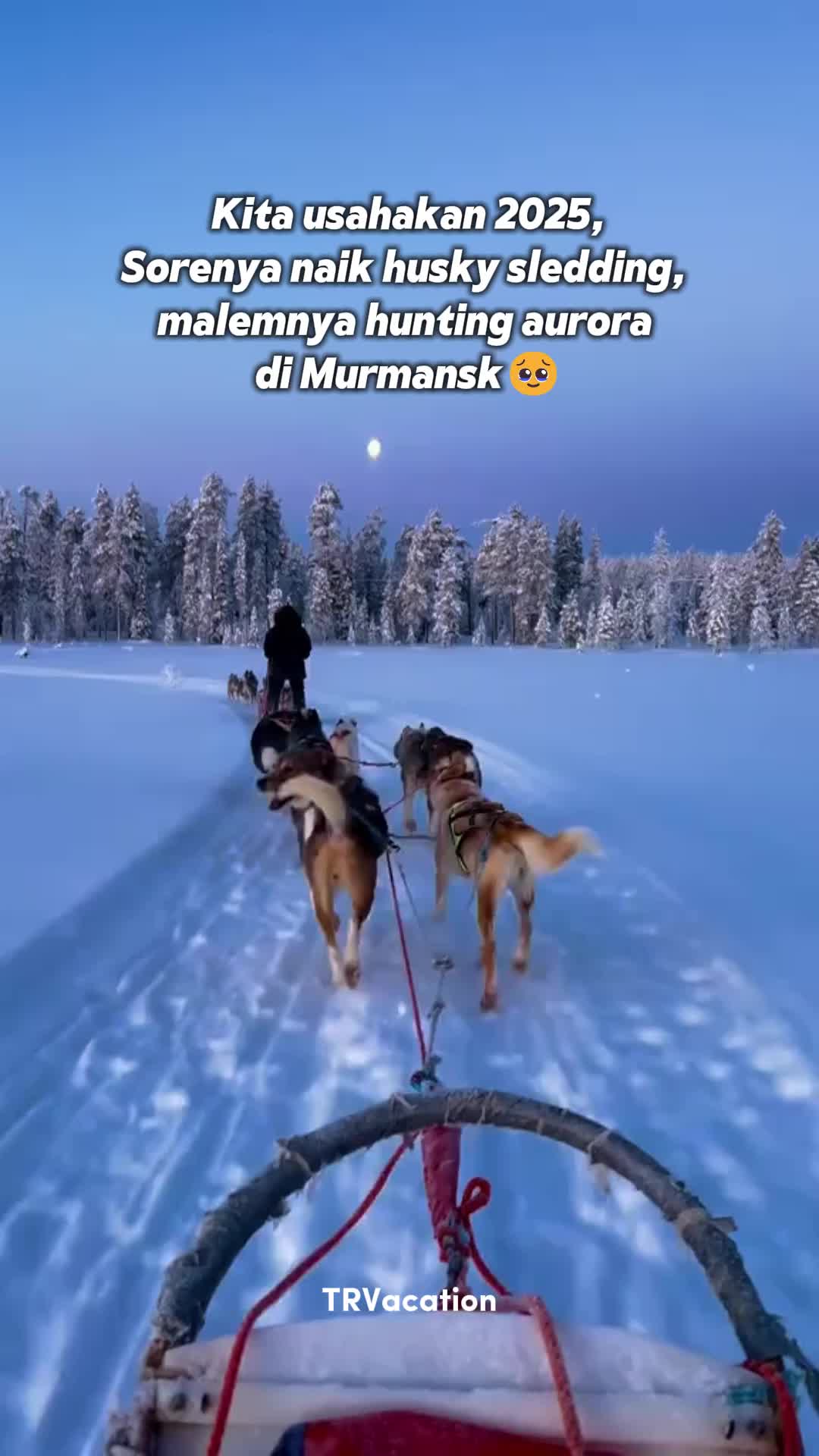 @tintinraynervacation