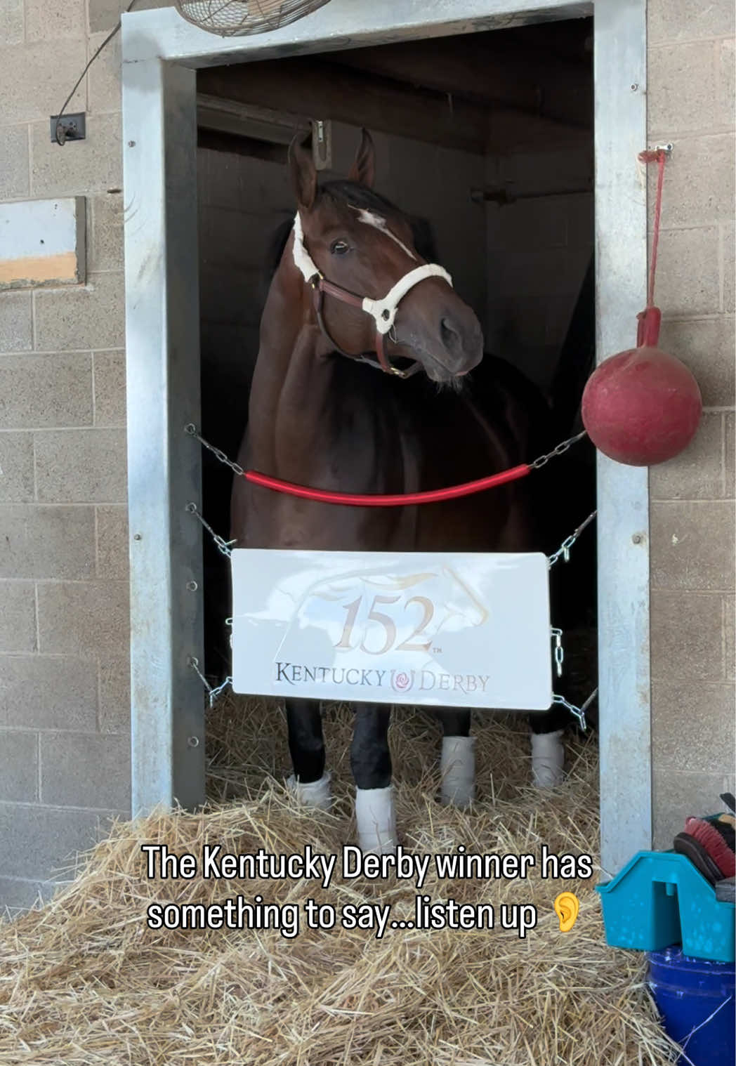 @TDN